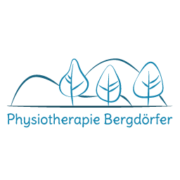 physio-bergdoerfer.de Logo